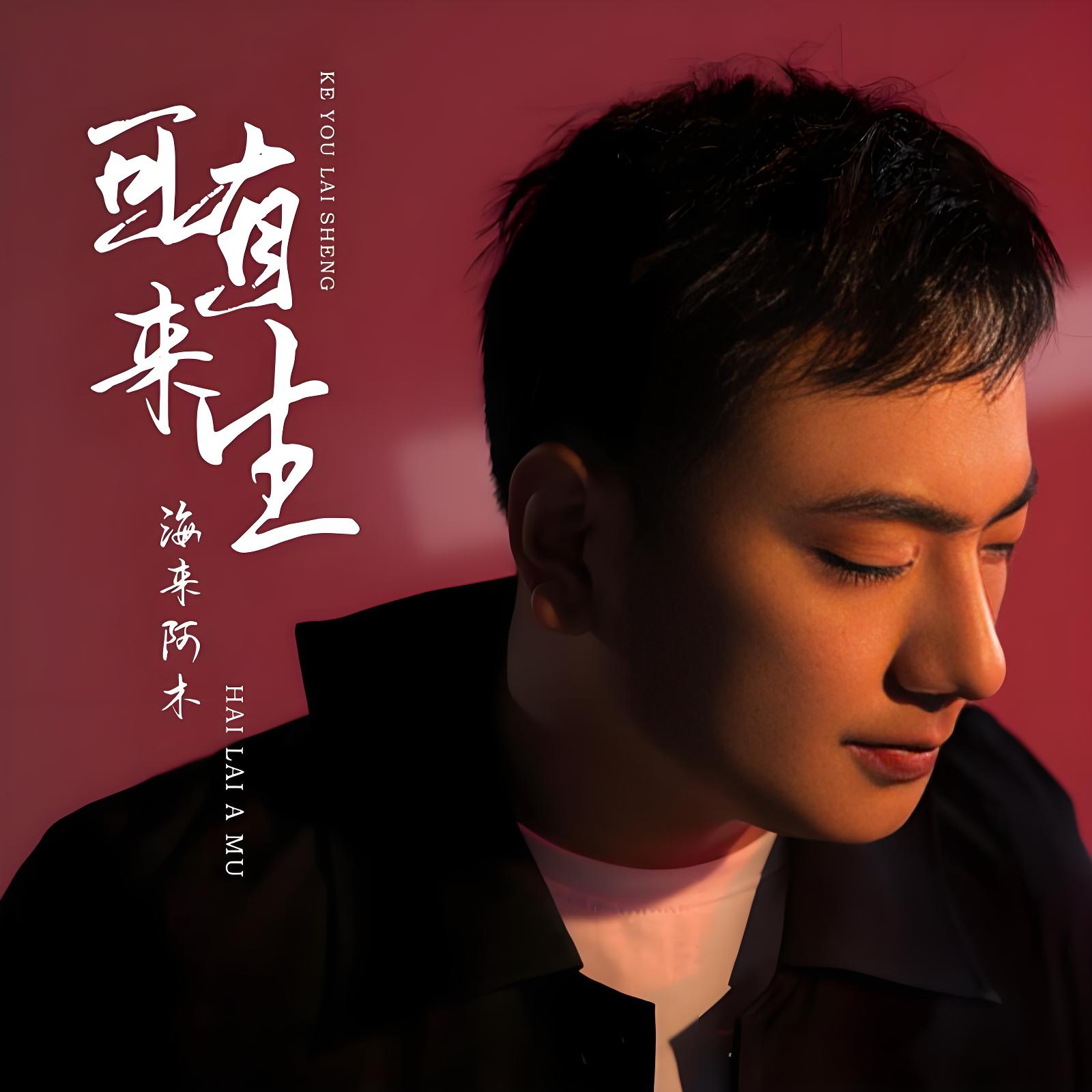 “热歌王子”海来阿木2021-2024专辑live版单曲音乐歌曲合集